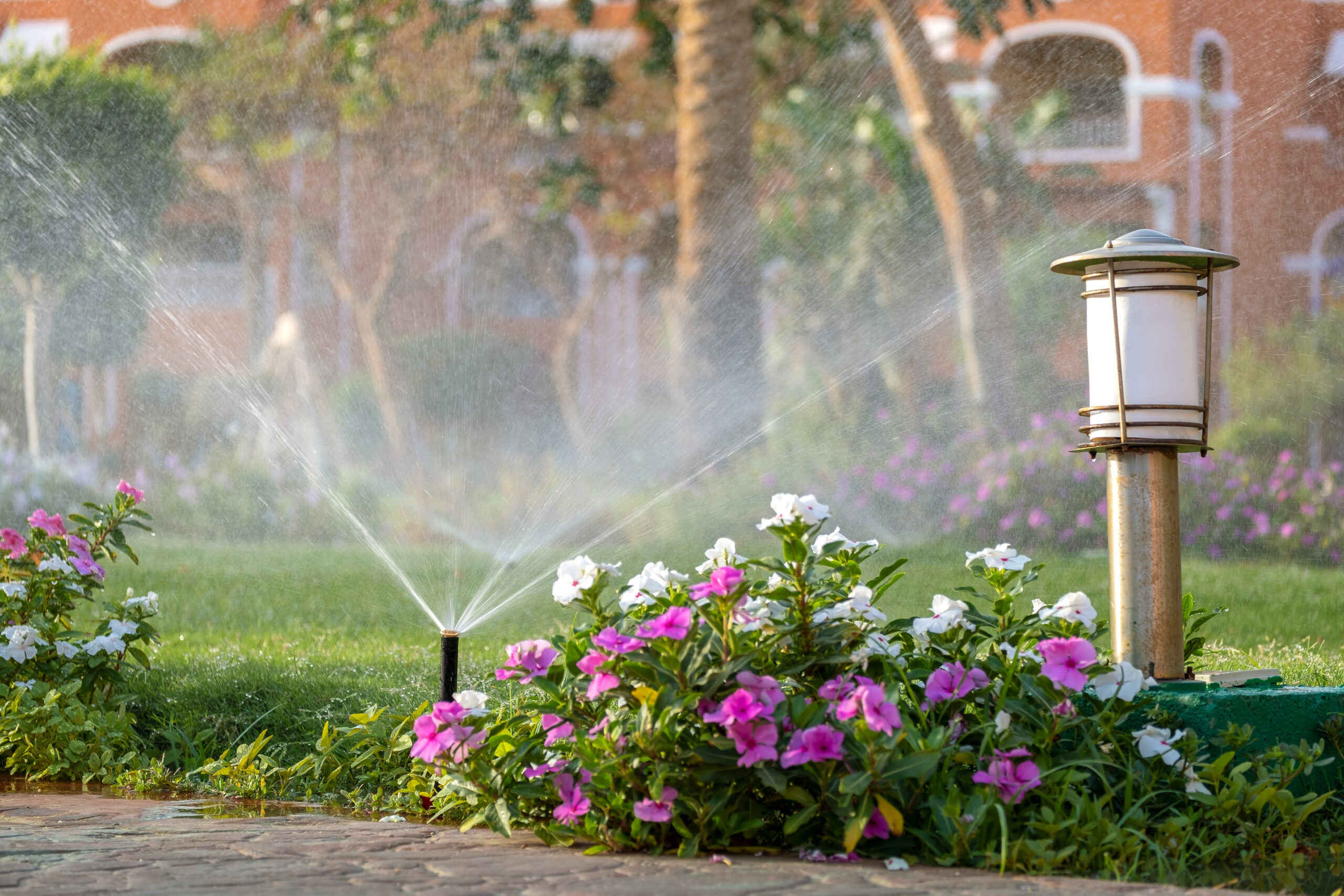 Plastic sprinkler irrigating flower bed on grass lawn with water in summer garden. Watering green vegetation duging dry season for maintaining it fresh.