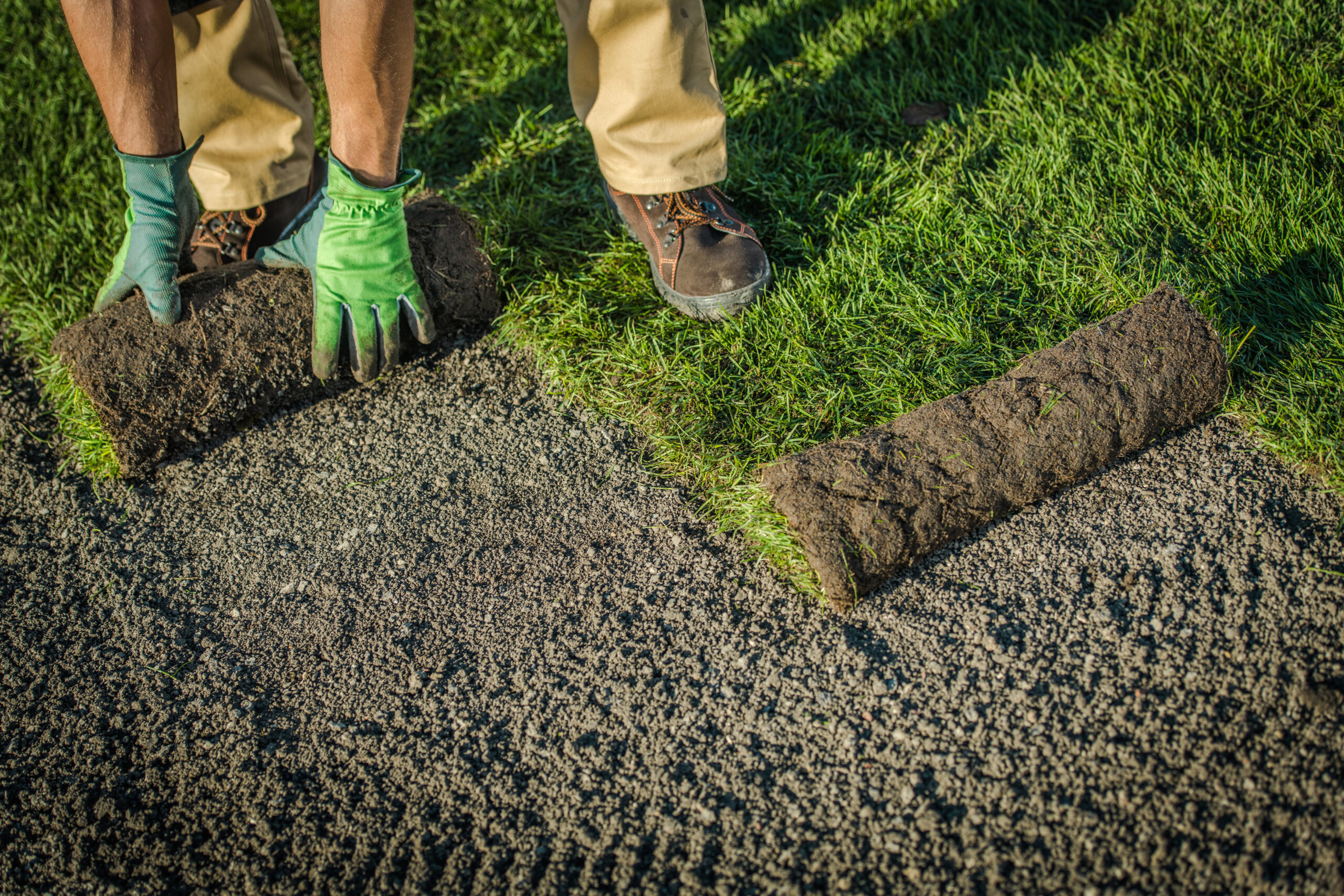 Man installing natural grass turf