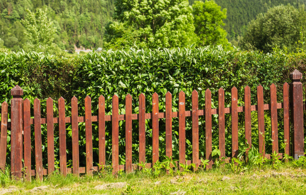 Wooden fence in a garden