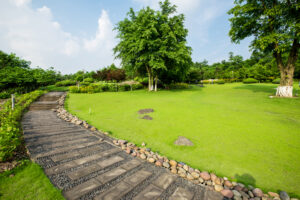 Wood and Stone road in a landscape