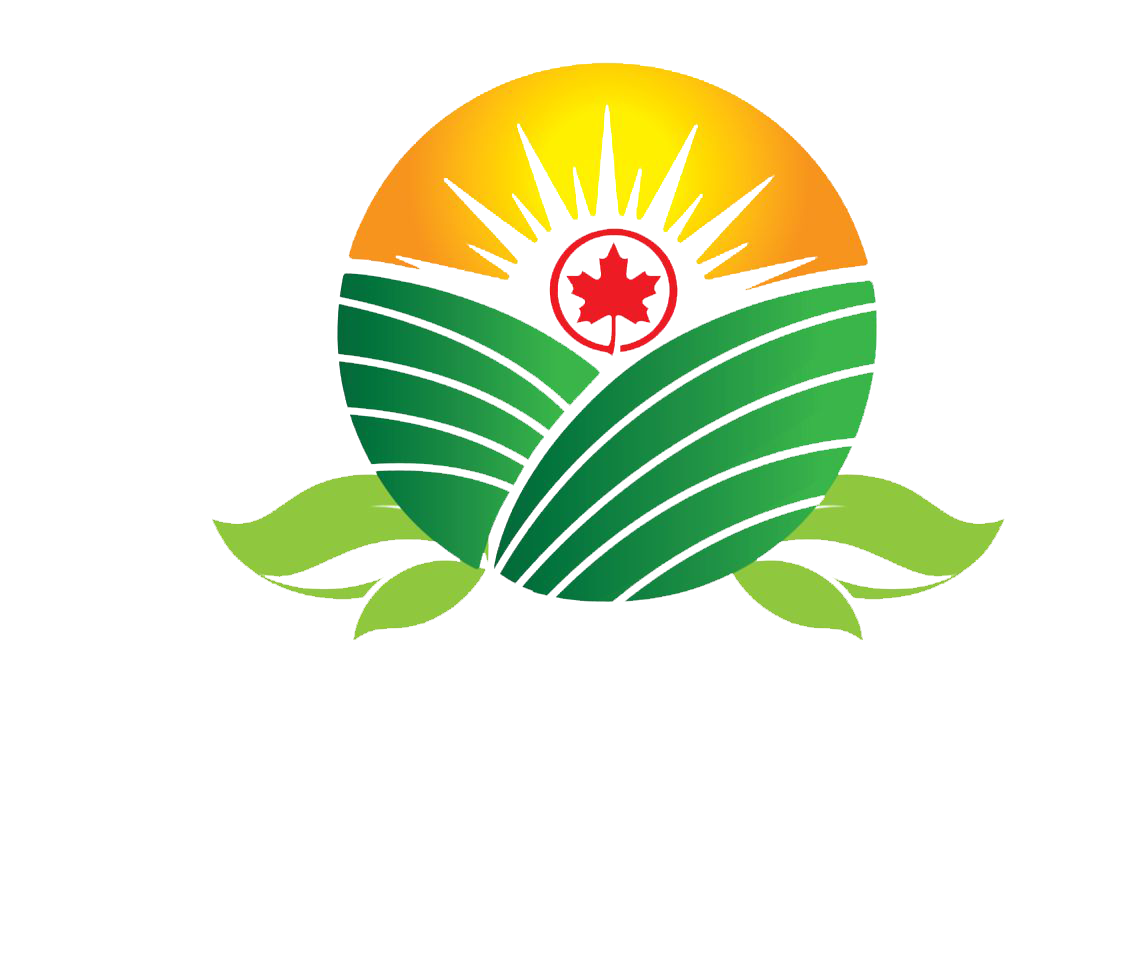 Sunrise Landscaping LTD Logo