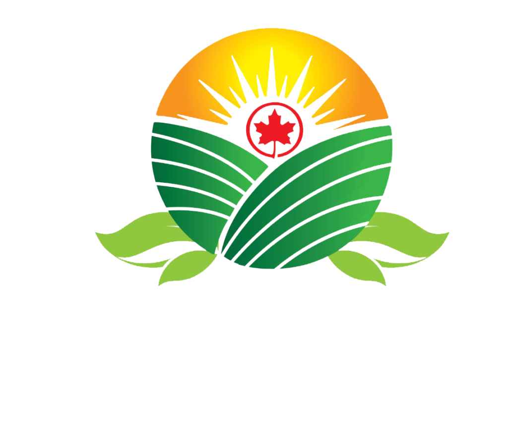 Sunrise Logo - Sun, Green Valley and Canada flag in center